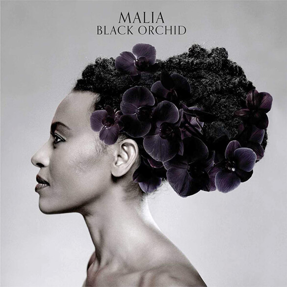 BLACK ORCHID - MALIA